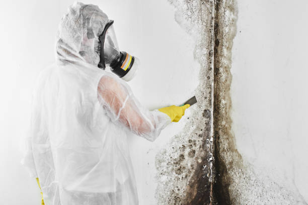Best Attic Mold Removal  in Le Grand, CA