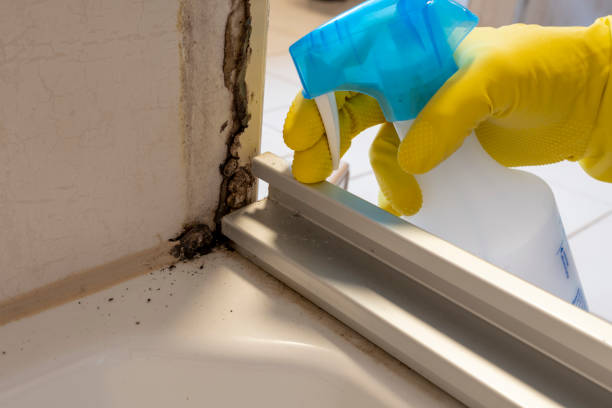 Best Toxic Mold Removal  in Le Grand, CA