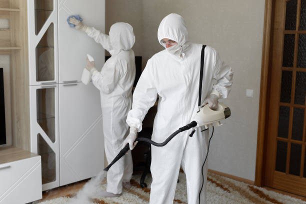 Best Residential Mold Removal  in Le Grand, CA