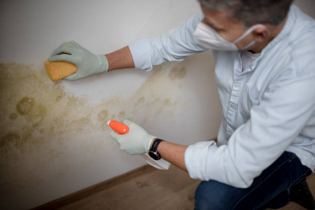 Best Mold Testing  in Le Grand, CA