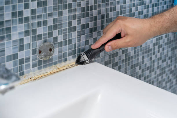 Best Mold Cleaning Services  in Le Grand, CA