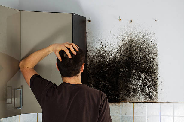 Best Emergency Mold Removal  in Le Grand, CA