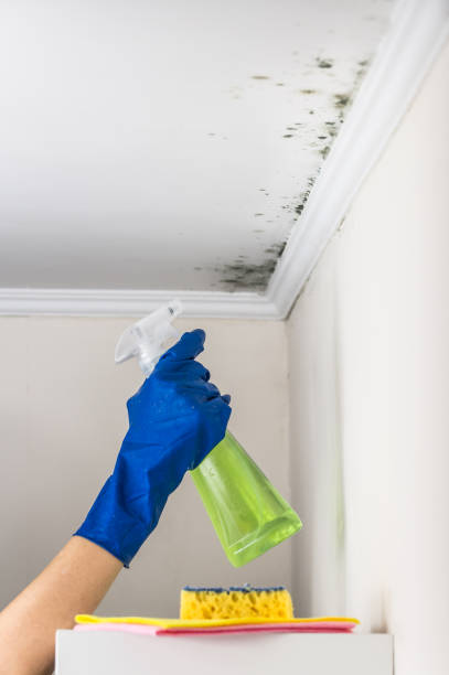Best Commercial Mold Removal  in Le Grand, CA