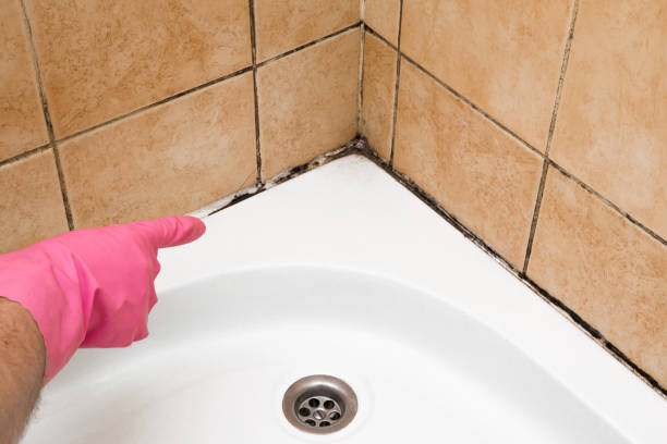Best Local Mold Removal Service  in Le Grand, CA